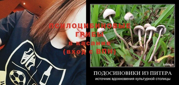 а пвп мука Заволжск