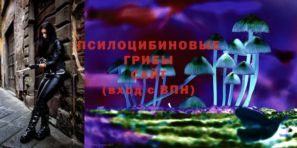 мяу мяу кристалл Заводоуковск