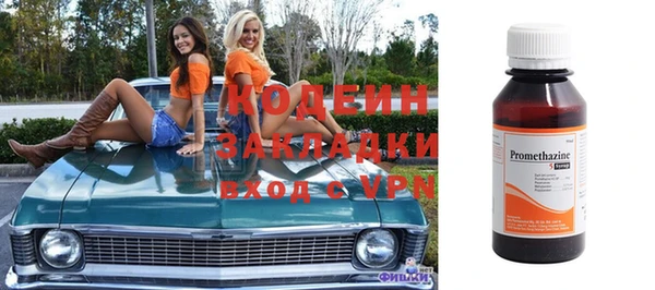 соль ск Ельня
