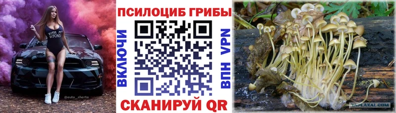 Псилоцибиновые грибы Magic Shrooms  купить наркоту  Углич 
