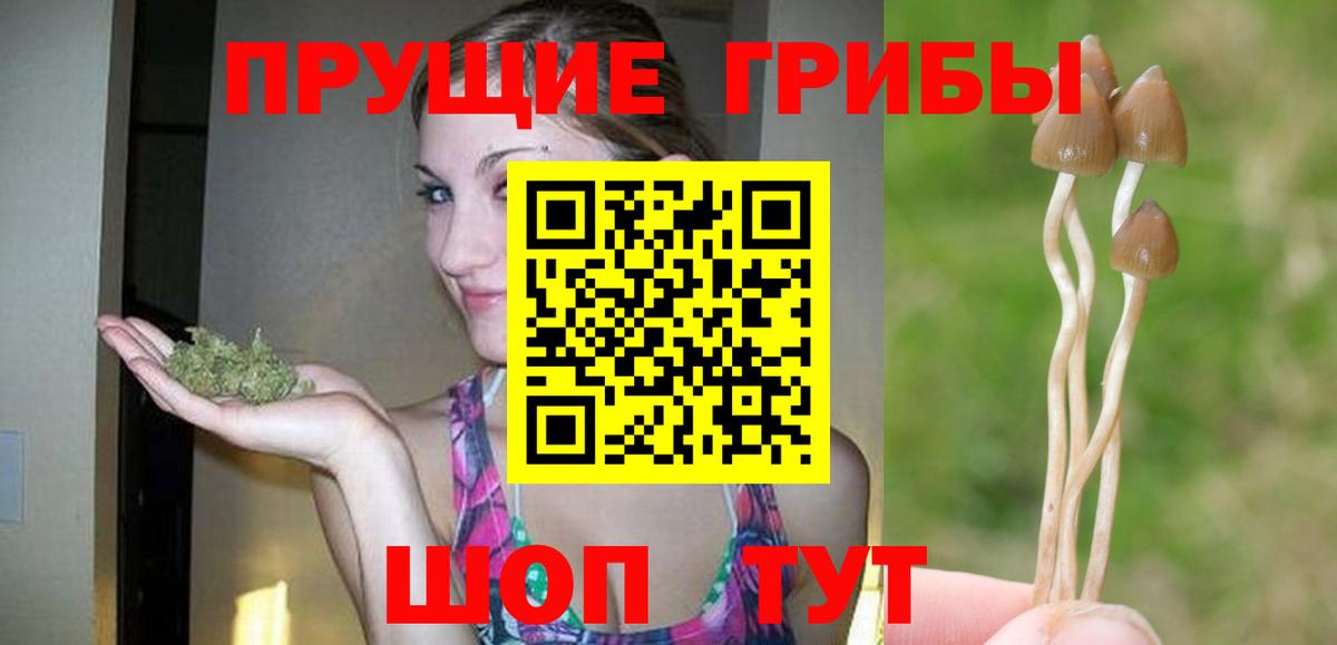 Галлюциногенные грибы MAGIC MUSHROOMS  Вход с VPN  Углич 